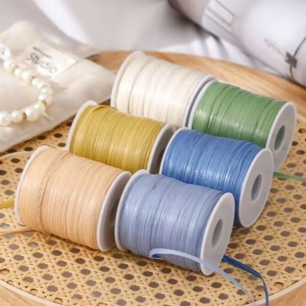 High Quality Premium Quality 1 - Crochet Bag Raffia reseña y precio